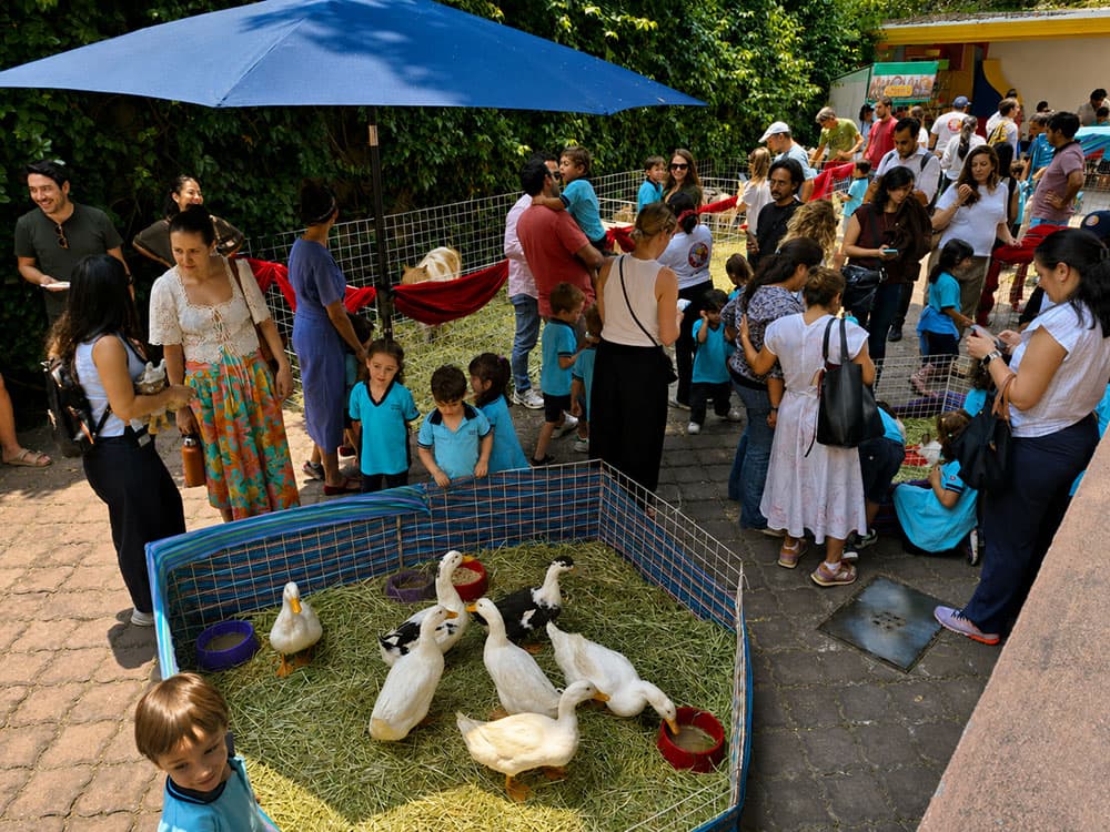 proyectos efad granja