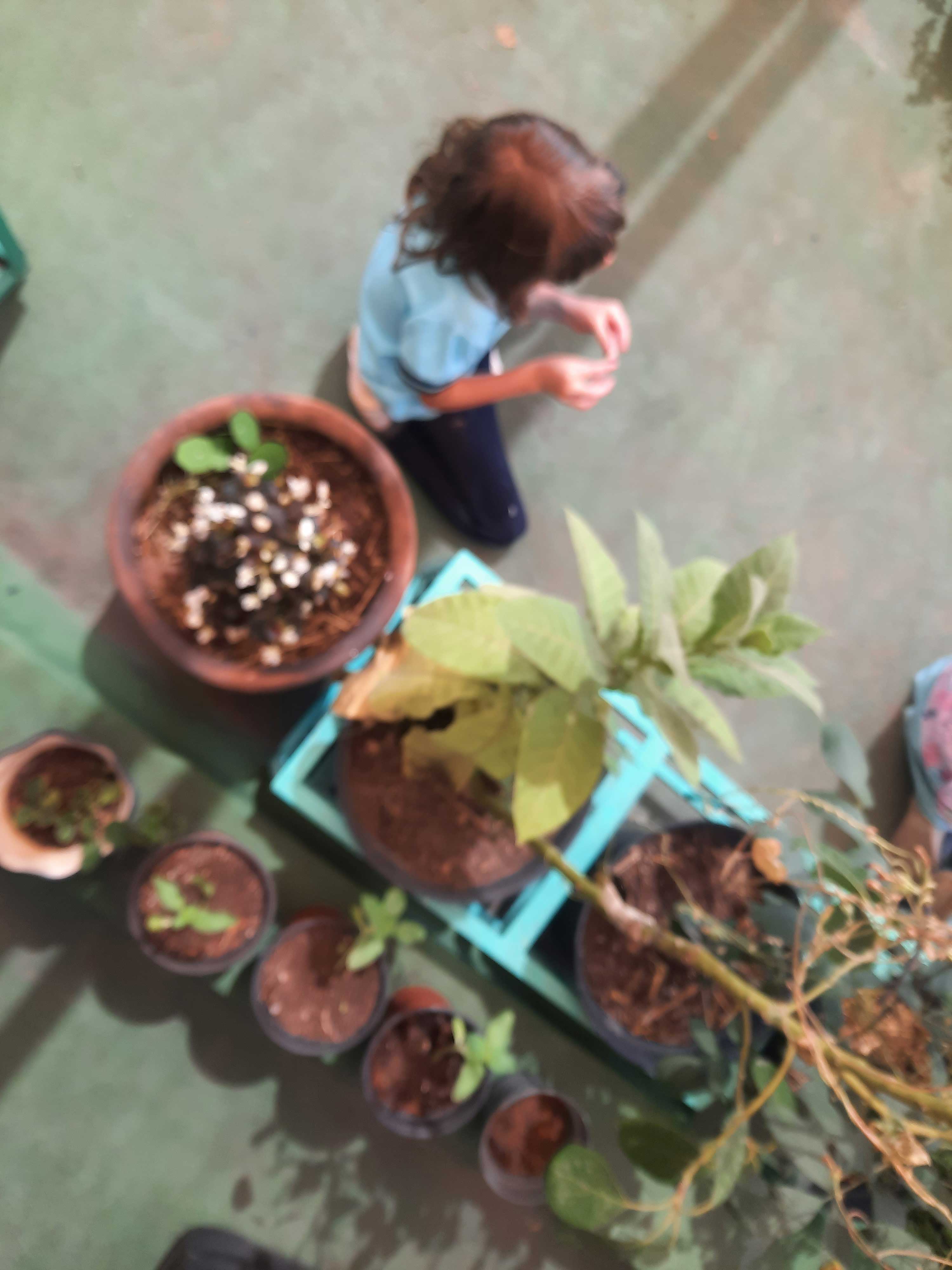 vida efad ecologia
